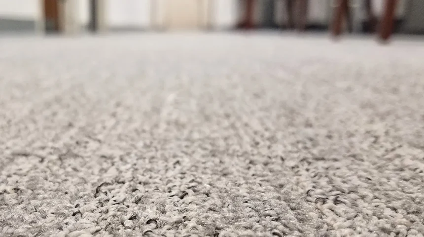 Why Carpet Cleaning is Important