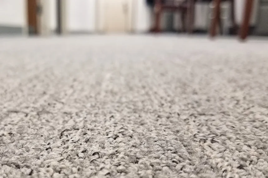 Why Carpet Cleaning is Important