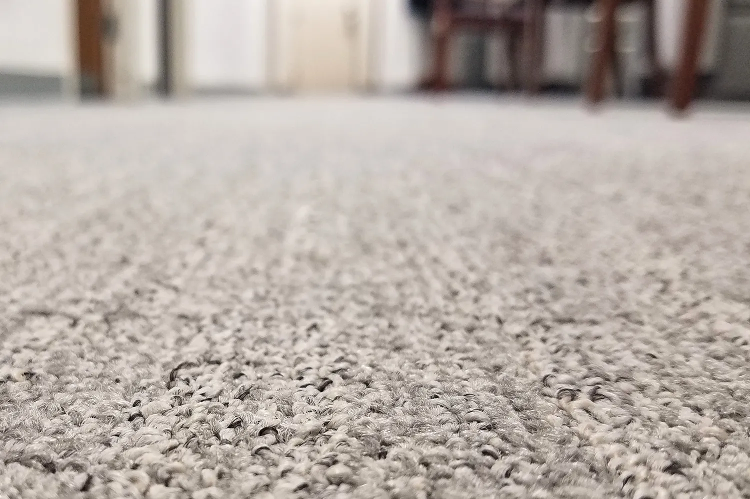 Why Carpet Cleaning is Important